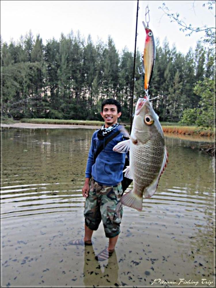  [center] :cheer:       รู้สึกว่า    RAPALA X-RAP 8  ตัวนี้ของน้าตั้ก....จะฮอดเป็นพิเศษเลยนะ   วันนี