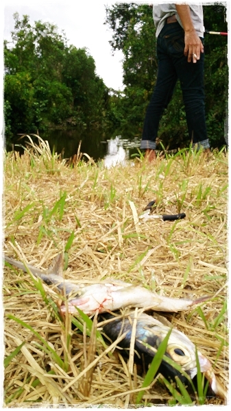 


  [  แต่ก้อ...สำเร็จโทษ ด้วย score 1+1 :grin: .............................................  ส
