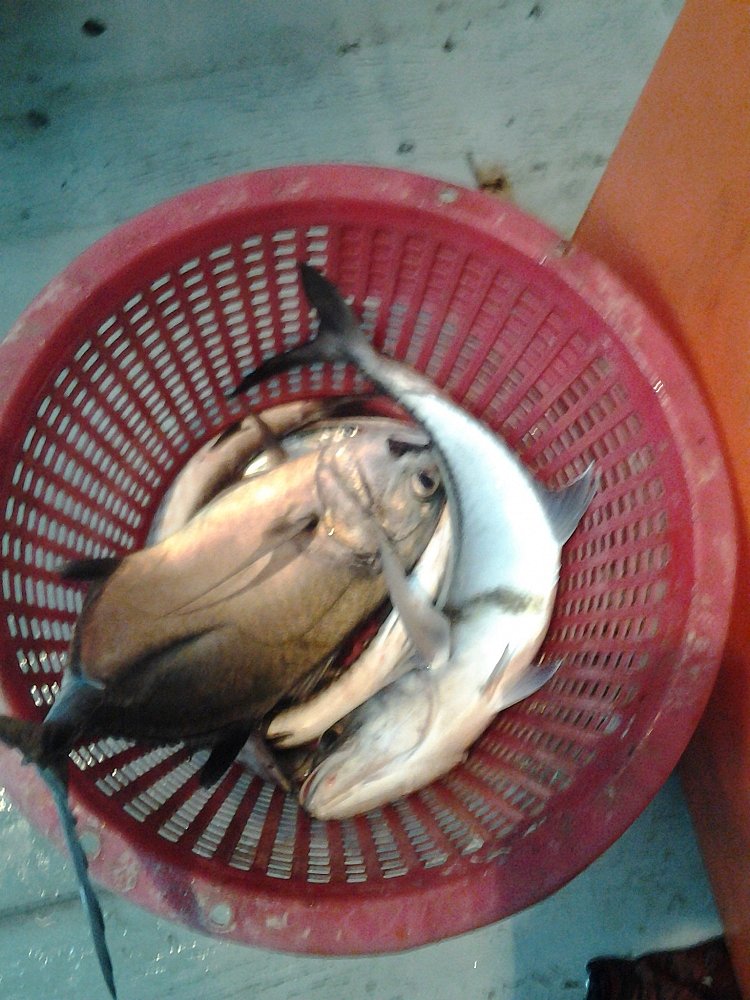 ปลาครับปลา
 :laughing: :laughing: :laughing: :laughing: :laughing: