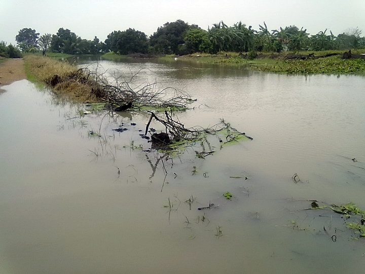 สภาพน้ำบริเวณรอบบ้านครับ ปีนี้นึกว่าจะไม่เป็นแบบนี้แล้วนะ สุดท้ายก็เหมือนทุกๆปี :grin: