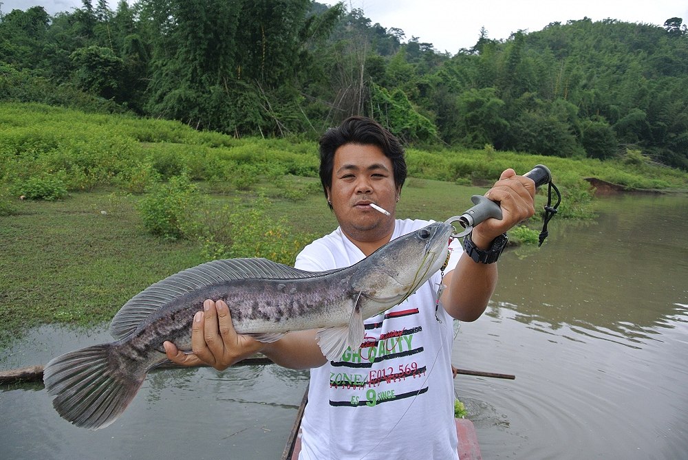 ตัวนี้ไม่สมประกอบคับ หัวโต ตัวยาว ผอมๆ