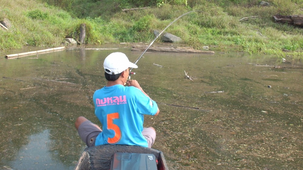ที่แรกนึกว่าจะไม่โตกัดไม่สมตัวเลย