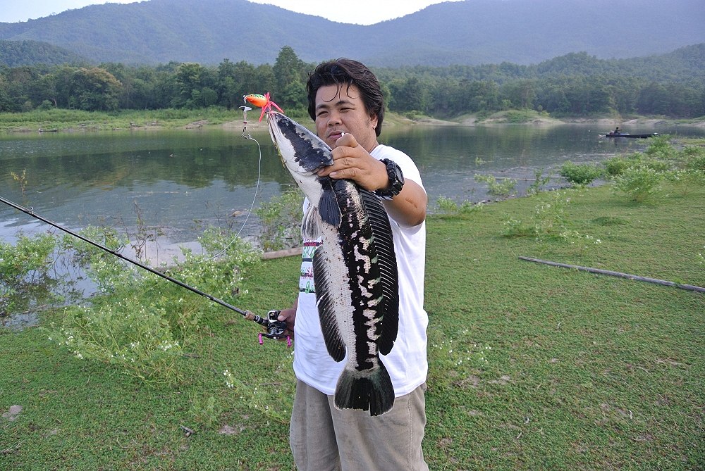 ชโมยถ่ายรูปซะเลย