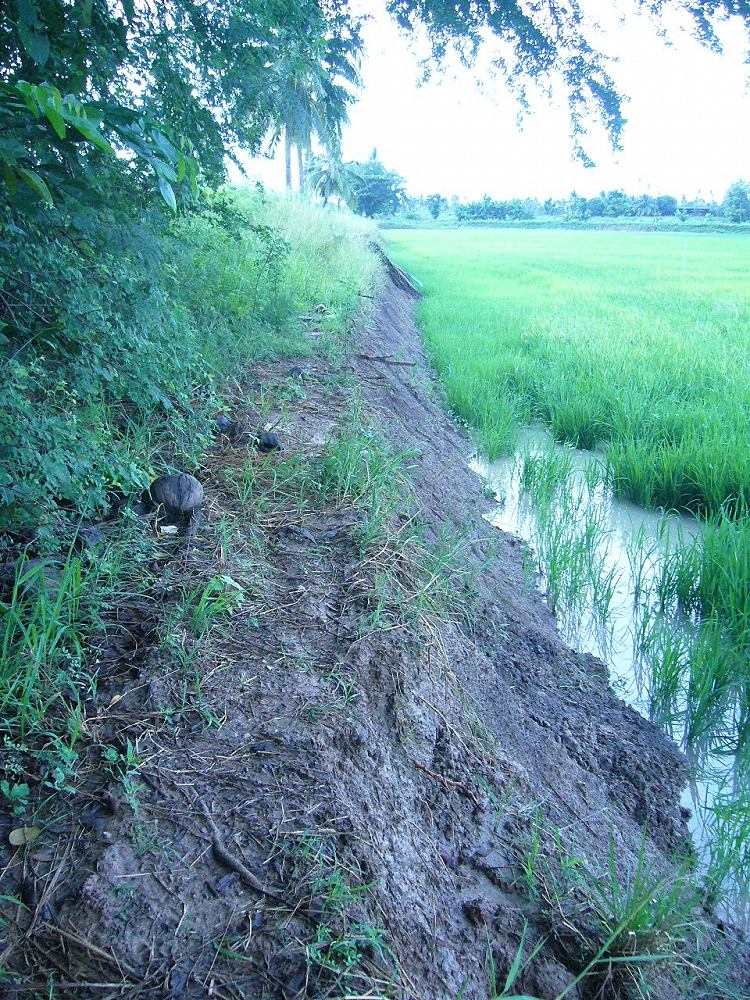 + เดินออกจากหมายดีกว่า อยู่ก็ช้ำใจ +

+ ไกลเหลือเกินเมื่อไหร่จะถึงรถเนี่ย +  :think: :think: