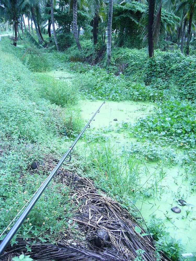 + แวะชมสักหน่อย +  :love: :love: