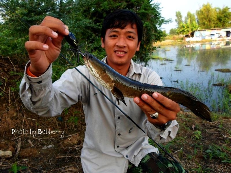 หล่อๆ  กันไปอีกครับ น้ารันบอกตัวนี้ขอเอากลับครับ ผบ. อยากกินปลา... :laughing: :laughing: :laughing: 