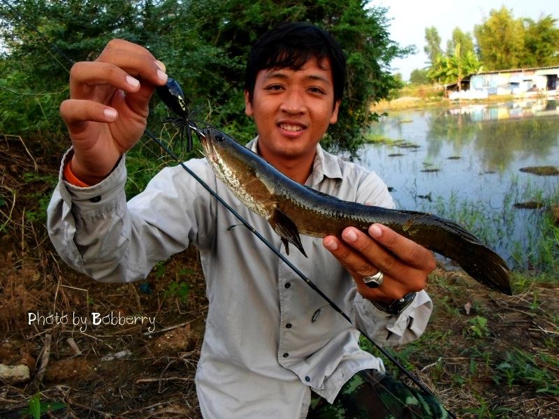 หล่อๆ  กันไปอีกครับ น้ารันบอกตัวนี้ขอเอากลับครับ ผบ. อยากกินปลา... :laughing: :laughing: :laughing: 