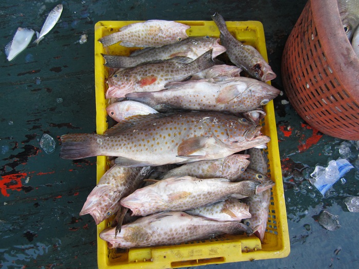 นี่คืออีกส่วนหนึ่งของทริปนี้...555...
 :cheer: :cheer: :cheer: :cheer: :cheer: