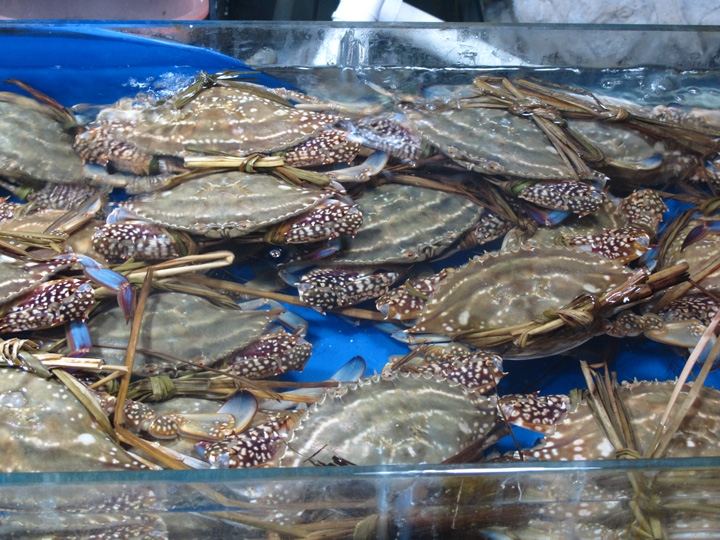 น่าจะปูม้านะ (นี่ก็สดจากไร่เชียว)