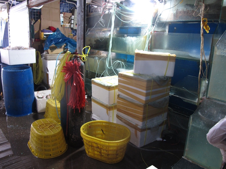 ร้านนี้สงสัยรอสินค้ามาลงอยู่ เพราะของเขิงวายหมดแล้ว