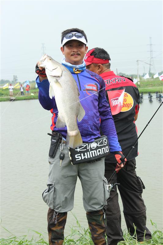  Audition Lure:grin: :grin: :grin: