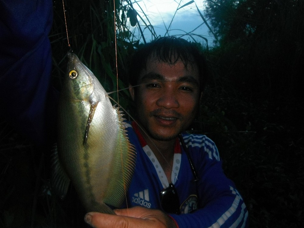ไซส้ใหญ่อีกตัวครับกับเจ้านันเทพสายฟ้าครับ... :grin: :grin: :grin: :grin: :grin: