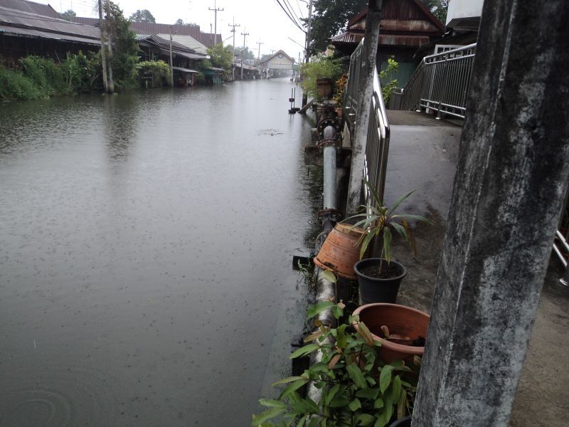 สังเกตุถ้ามีเสาหรือสะพานหรือช่องน้ำสำหรับเรือเข้าออกให้สันณิฐานว่าจะต้องมีตัวแอบซุ่มรอกัดปลาเล็กแน่น