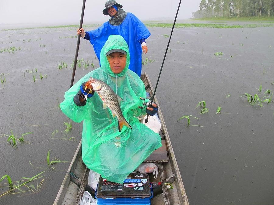  [b]** เนื่องจากฝนตกตลอดเลย.....เลยไม่ค่อยได้เก็บภาพบรรยากาศมาให้ชมกันเท่าไหร่ครับ

ตัดมาที่นังปอเ