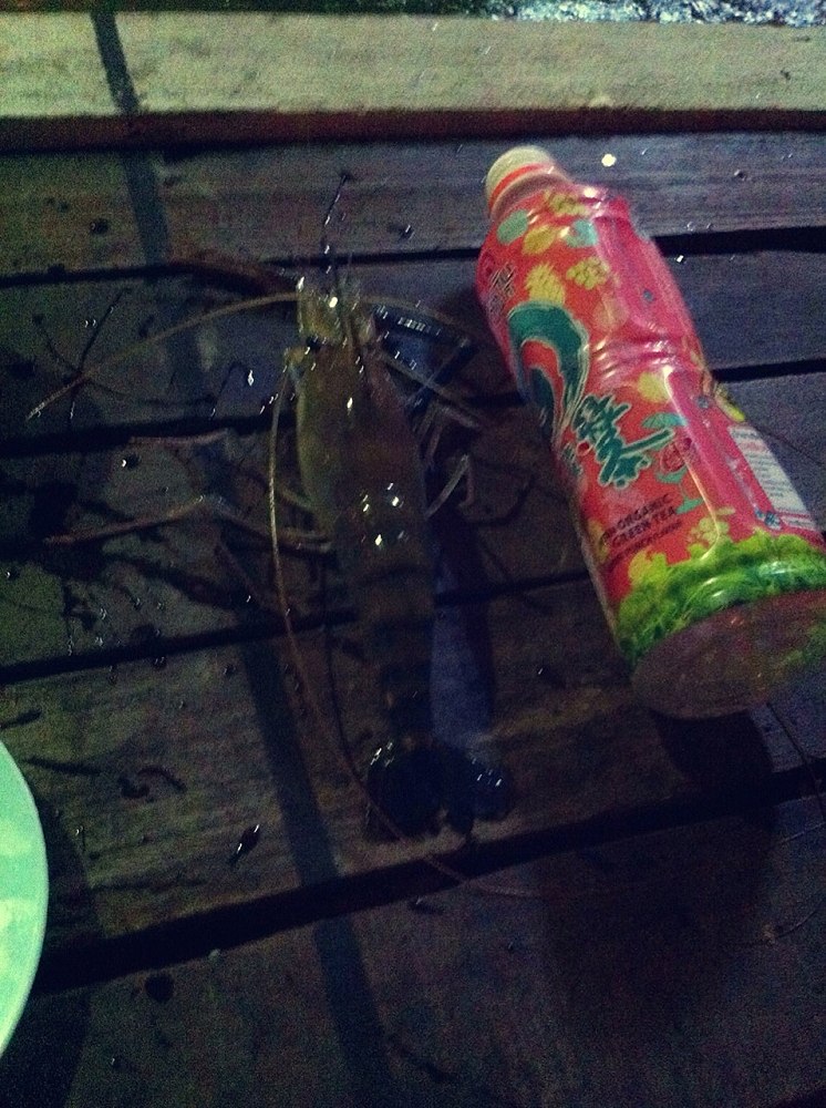 ของผมมั่ง