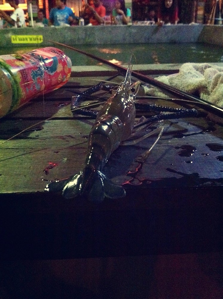ของผมบ้างขึ้นมามอบเลย