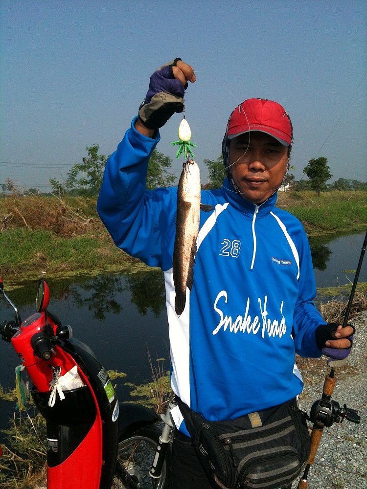 ทริปวันอาทิตย์ Snakehead Angler Club 