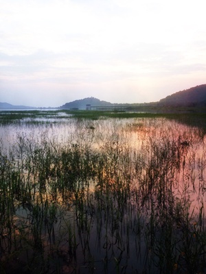 สภาพหมายวันนี้ สวยมากคับ โดนแน่นอน