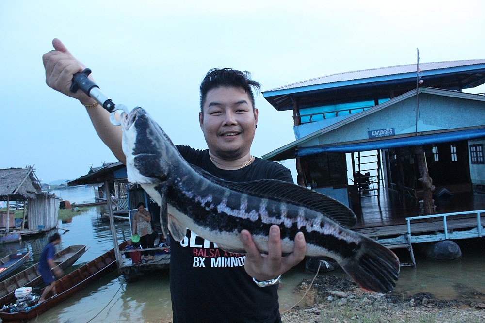 ตอนเย็นกลับมาที่ฝั่ง เรืออีกลำ พี่ หมูหยอง ทีม ตี 4 จัดมา :smile: