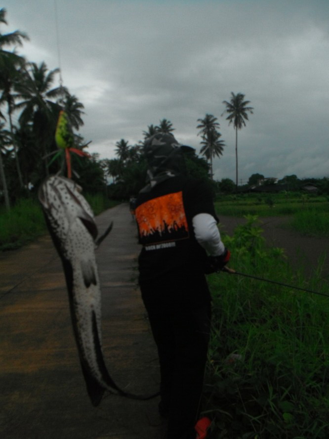[q][i]อ้างถึง: tomfishingman posted: 14-10-2556, 23:16:18[/i]

สุดติ่ง