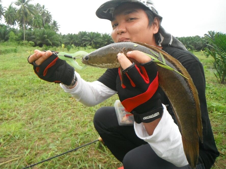 [q][i]อ้างถึง: pookker2524 posted: 15-10-2556, 12:59:49[/i]

ตามชมด้