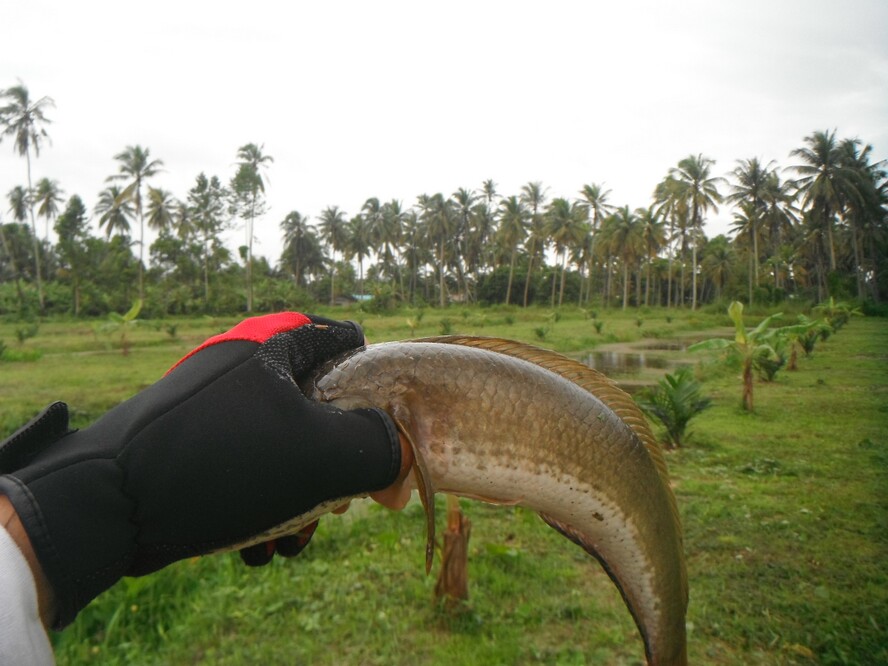 [q][i]อ้างถึง: วิทย์ Big Game posted: 15-10-2556, 15:04:12[/i]

+ มา