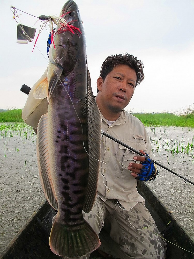  [b]** ถ้าลองได้กัดโดนแล้ว........โอกาสหลุดน้อยมากๆครับ 

 ทะลุตลอด.....สวดดดดดด ยอดดดดดดด[/b]  :o