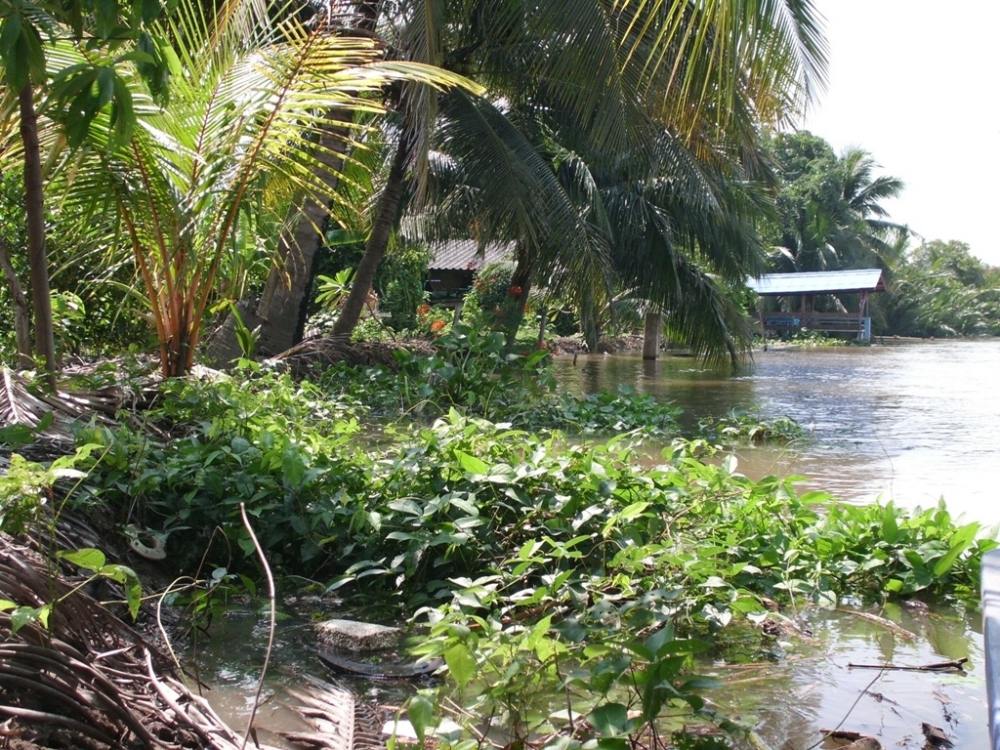 ถึงผู้ที่ใช้เรือ Speed Boat และ เจ็ทสกี ที่แม่น้ำบางปะกง