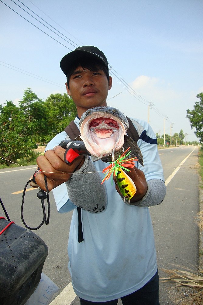 ชัดๆ...+++ :cheer: :cheer: :cheer: :cheer: