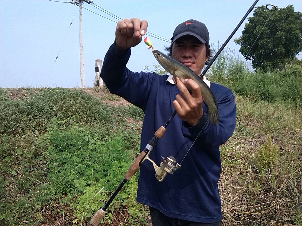 ตกช่อน