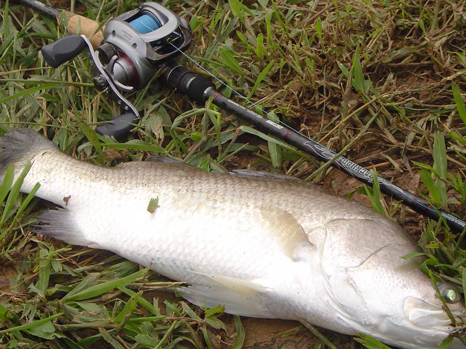 Rod: tailwalk Backhoo
Reel: Daiwa Laguna
 :smile: :smile: :smile: :smile: :smile: