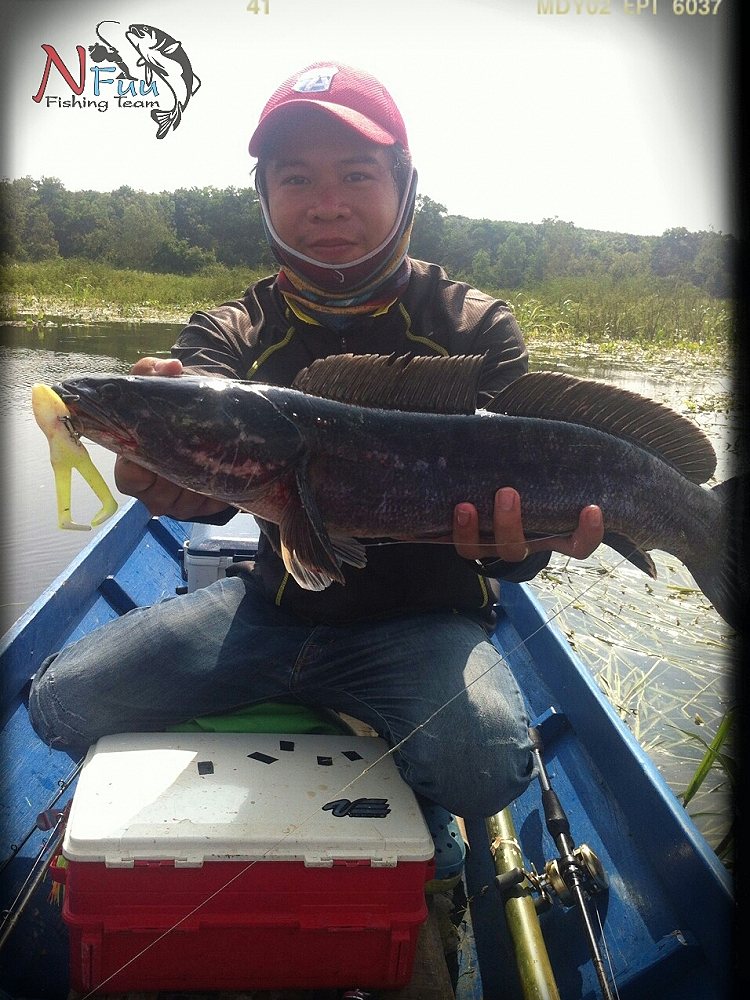 [q][i]อ้างถึง: narita posted: 18-10-2556, 12:33:16[/i]

 :love: :love: :love:[/q]
สวัสดีครับน้า ข