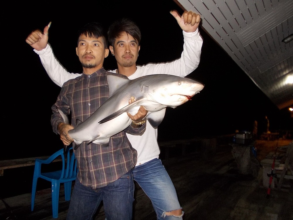 มันต้องถ่ายรูปโชว์กันหน่อย เย้. . .!  :cool: :cool: :cool: