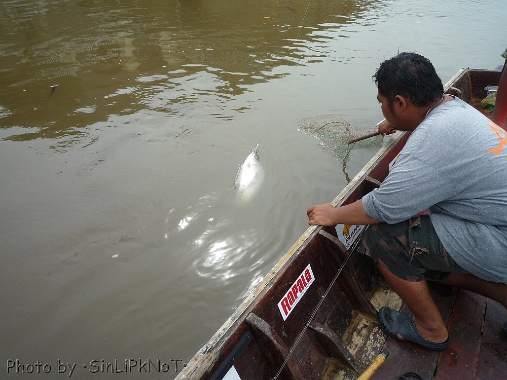 ว๊าวววววว ทอดมันลอยอยู่ตรงหน้า  :laughing: :laughing: :laughing: