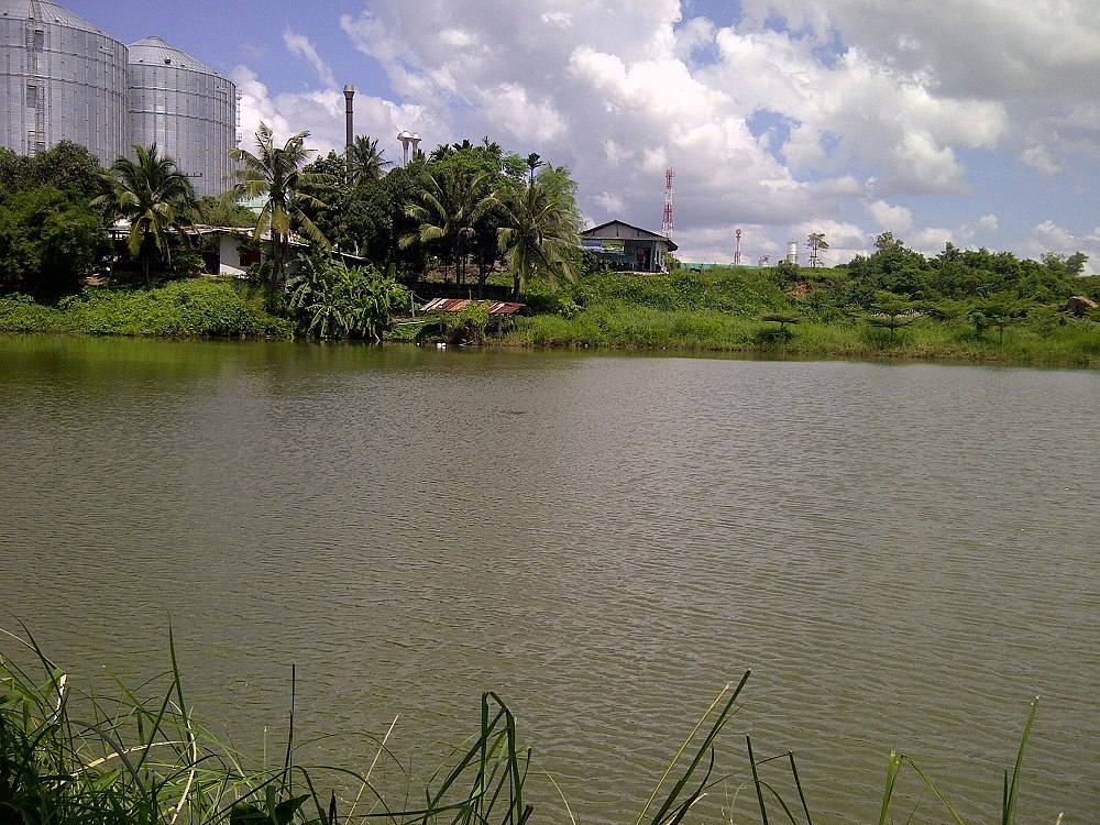 บรรยากาศทางซ้าย