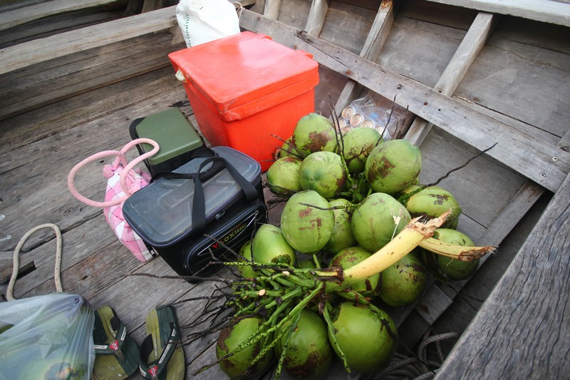 มีมะพร้าวไว้คอยบริการบนเรือด้วยนะคะ  :smile:
