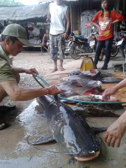 โทรฟี่ ตัวนี้ฝีมือผมเองครับ.... :laughing: :laughing: :laughing: :laughing: