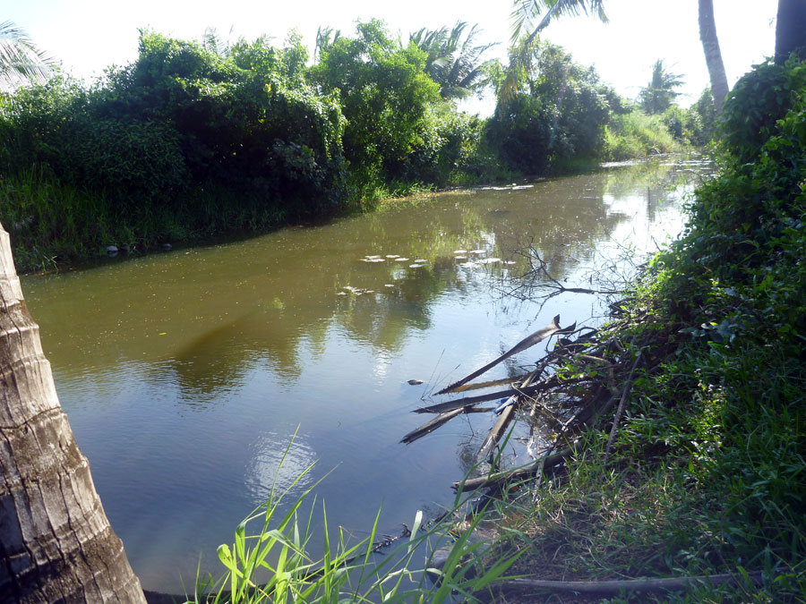  [center]ปลายฝนต้นหนาว น้ำกึ่งใสกึ่งขุ่น เพราะเพิ่งหมดฝน น้ำจืดลงชะตะกอนดิน น้ำแดงในช่วงที่ผ่านมา 
