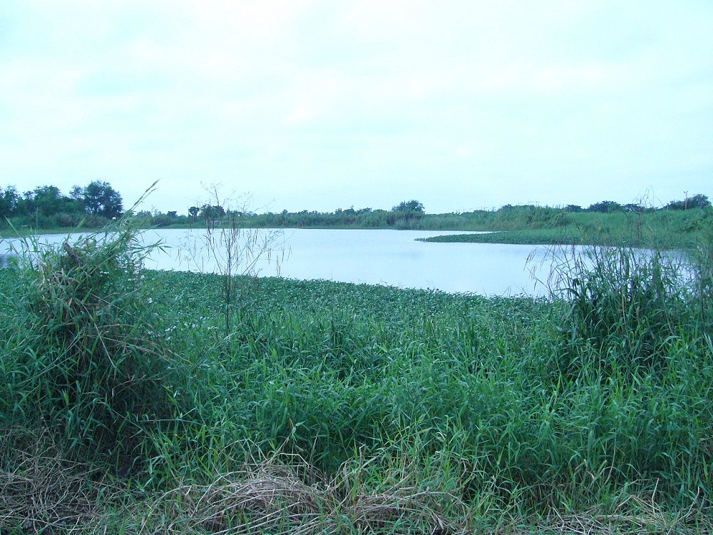 + ฝั่งนี้อีกบ่อนึง +