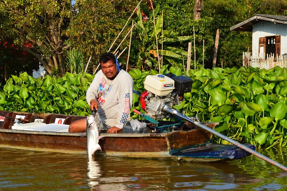 ไต๋ต้นของเราก็ได้เหมือนกัน :cool: :cool: :cool: