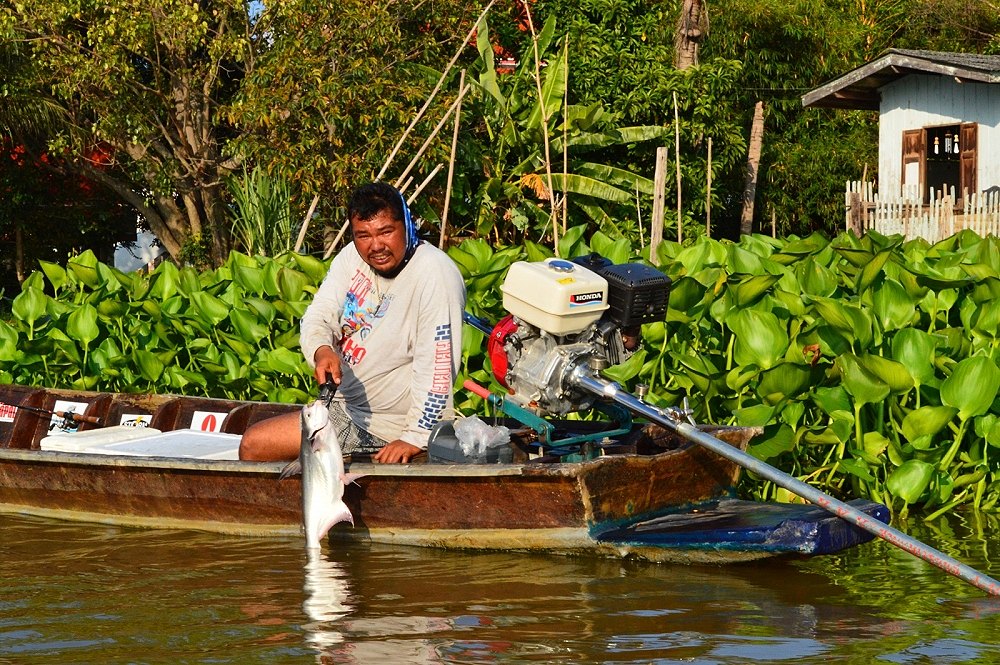 ไต๋ต้นของเราก็ได้เหมือนกัน :cool: :cool: :cool: