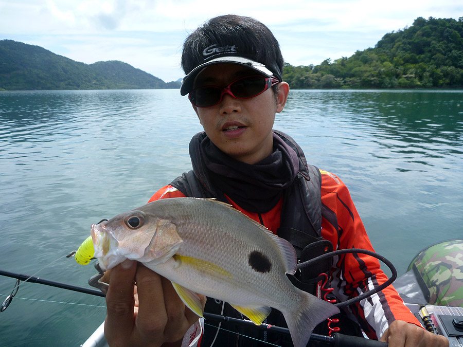  [center]อย่าว่าแต่ Jig เลยครับ Texas Rig มันก็กัด ฝูงข้างปานกำลังเข้ามีชุมทุกแนวหิน  :wall: :laughi