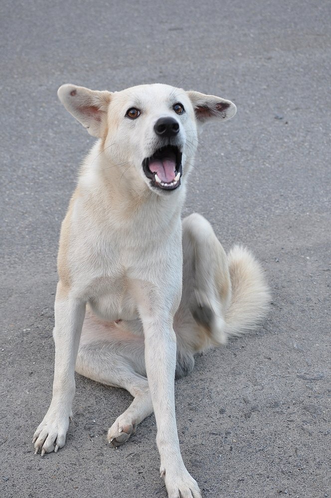  :grin: :grin: :grin: :cheer: :cheer: :cheer: :cheer: :cheer: :cheer:
