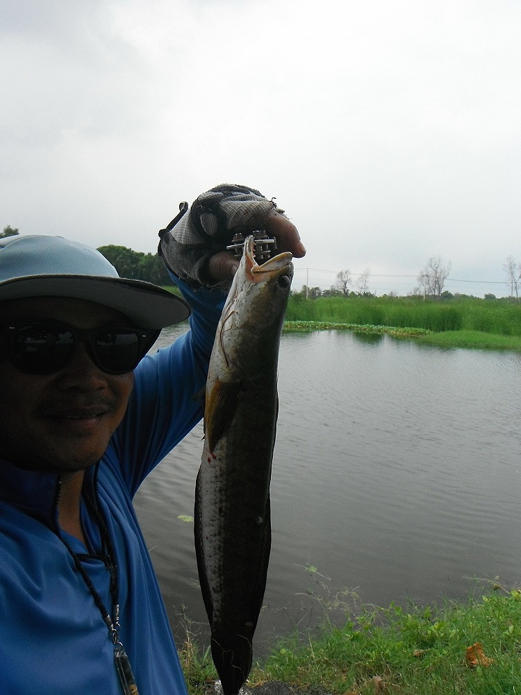 [q][i]อ้างถึง: ฮานึล posted: 26-10-2556, 09:04:39[/i]

ชอบเท็กซัส ด้วยคนคับ[/q]


ขอบคุณครับ...