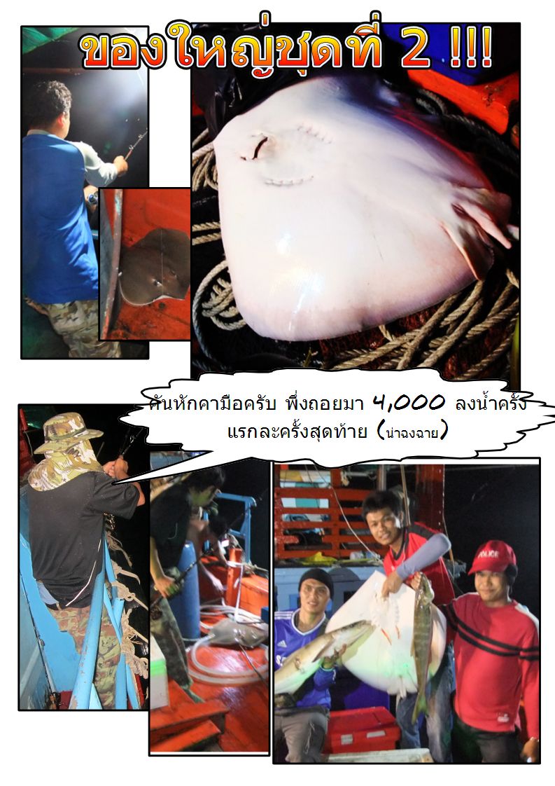 แล้วของใหญ่ก็มาชุดที่ 2 ครับ คันหักไปหนึ่งหน่อย แบบ หักด้ามเลย พึ่งถอยมาเลย ลงน้ำครั้งเีดียวและครั้ง