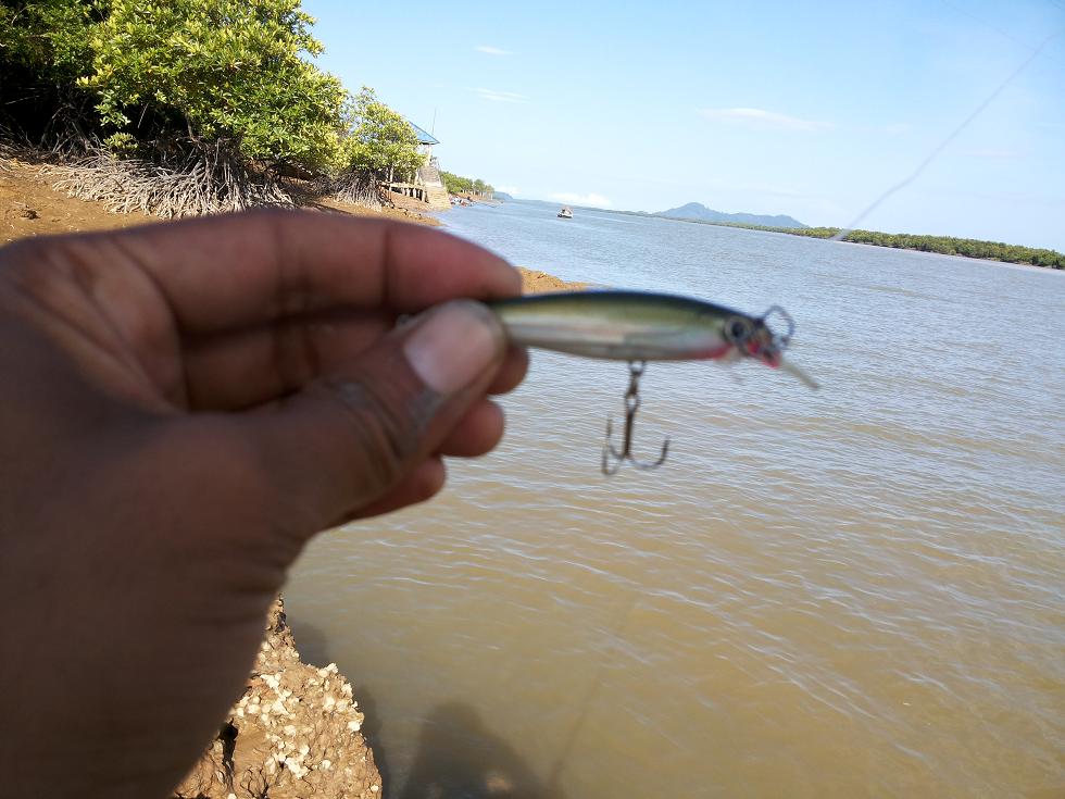 
 [center][b]วันนี้ขอลอง RAPALA ดูบ้างกับเหยื่อ 6 Cm เน้นสีปลาธรรมชาติ[/b][/center]