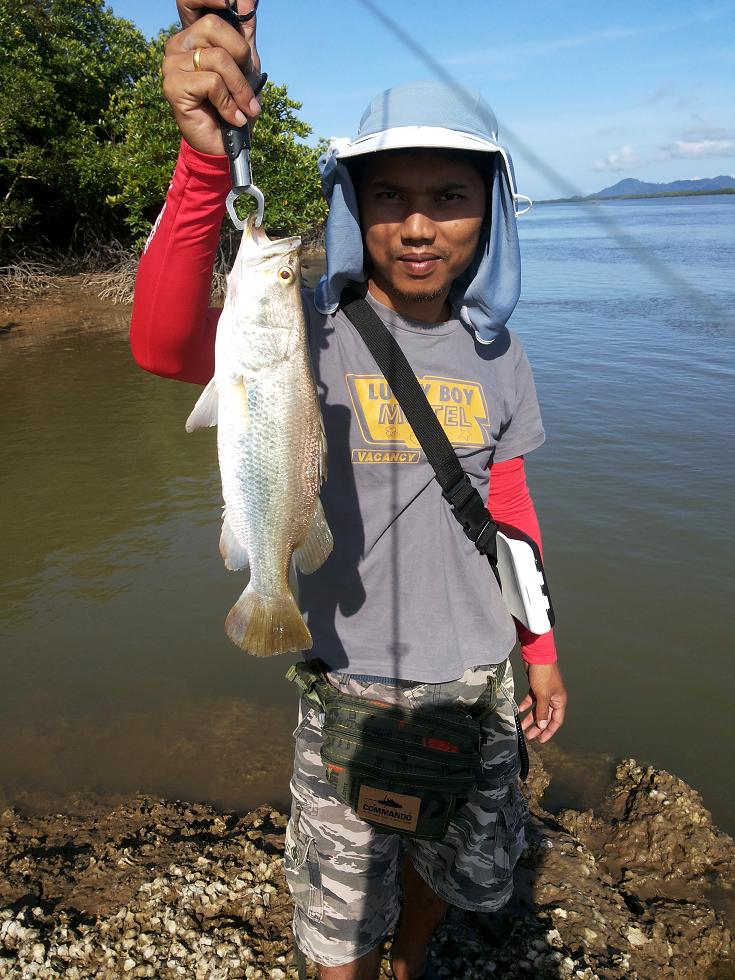 ตีเหยื่อปลอมชายฝั่ง ระนอง ตอน ( Barramundi )