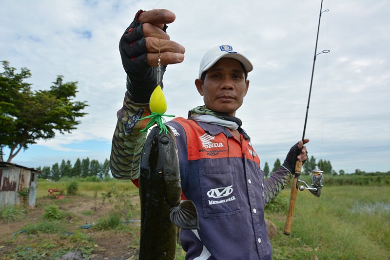 พี่ทุย..ตีไป  3 - 4 ไม้  ตรงที่ลูกปลาแตกตื่น  ได้เรื่องเลย  ครับผม !!!    :grin:

 :cheer: :cheer: