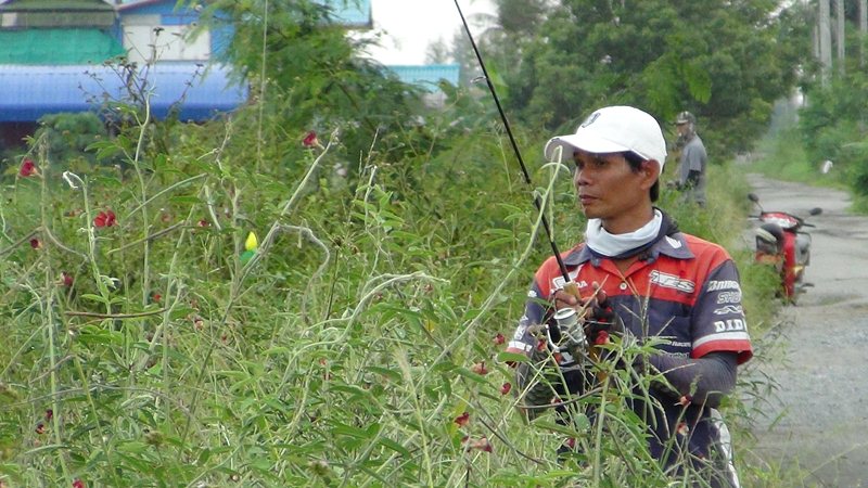 มีกัด..ลูกปลาให้เห็น !!!    :grin: