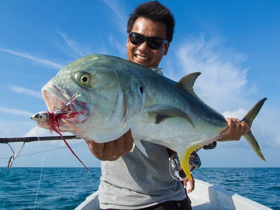 Crevalle